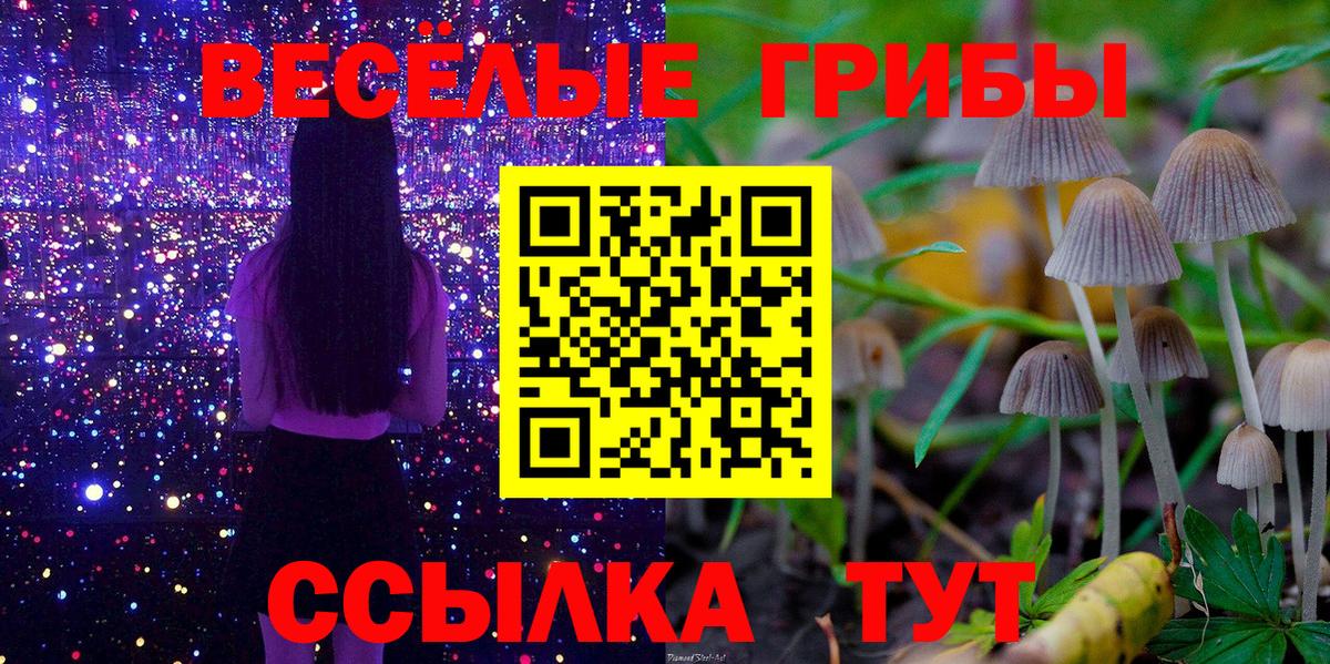 Галлюциногенные грибы мухоморы  Вход с VPN  купить  сайты  Галлюциногенные грибы прущие грибы  Фролово 