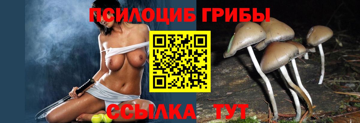 Псилоцибиновые грибы ЛСД Фролово